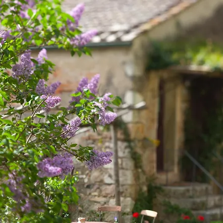 Farm stay Tenuta Di Spannocchia *