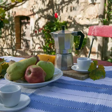 Tenuta Di Spannocchia * Rosia