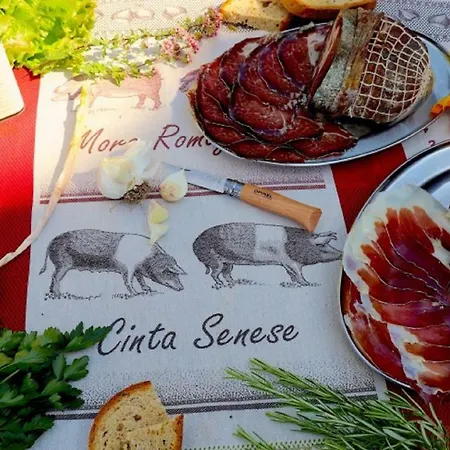 Tenuta Di Spannocchia Farm stay